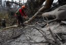 Suman 131 personas fallecidas tras incendios en Chile