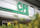 Caen 94% las ganancias de CFE en el primer trimestre de 2024