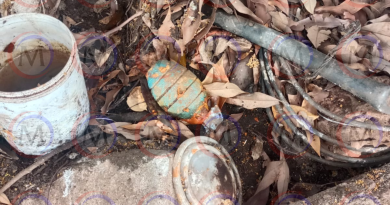 Localizan granada dentro de una parcela en el poblado del Jicote, del municipio de Tepic