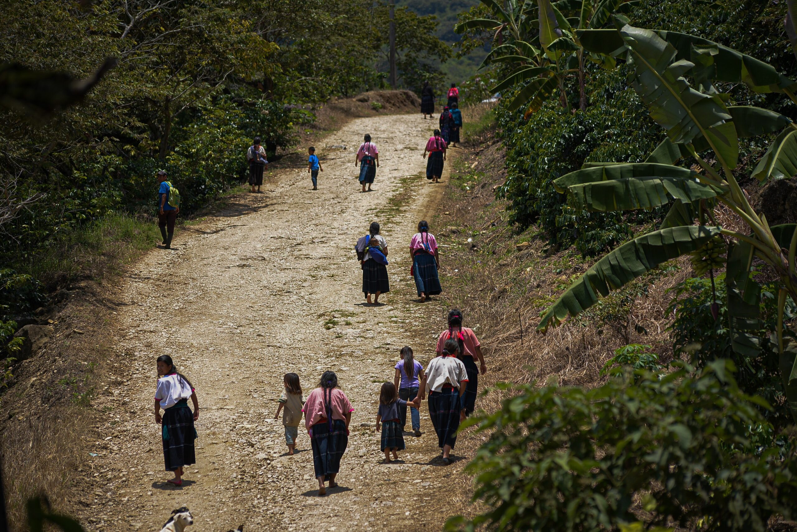 Conflicto armado y COVID arrebatan la educación de niños indígenas mexicanos
