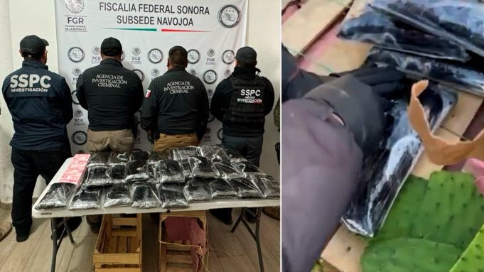 Imagen de WhatsApp 2025-03-05 a las 15.46.46_1546b045