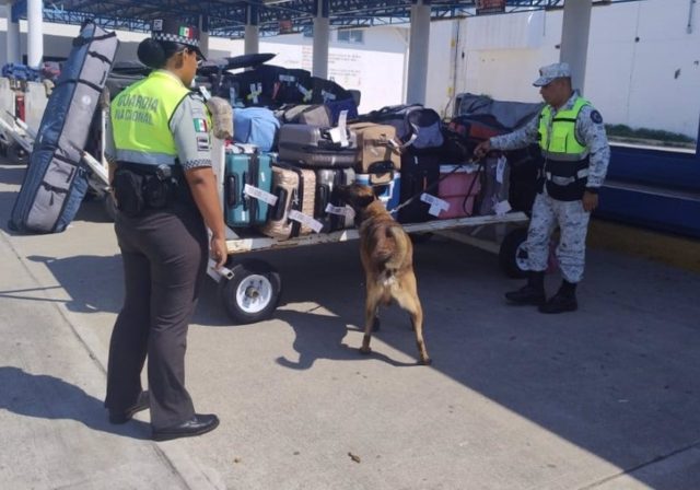 Agentes de la Guardia Nacional de México durante un registro de maletas (archivo)