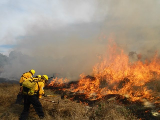 mexico-registra-114-incendios-activos-en-23-estados-613572