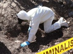 Hallan cuerpos de tres mujeres y fragmentos óseos en Juventino Rosas, Guanajuato