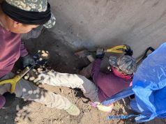 Localizan al menos seis cuerpos en fosa clandestina en Irapuato, Guanajuato