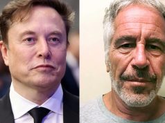 Elon Musk a Epstein en un correo: “¿Qué día/noche será la fiesta más salvaje en tu isla?”