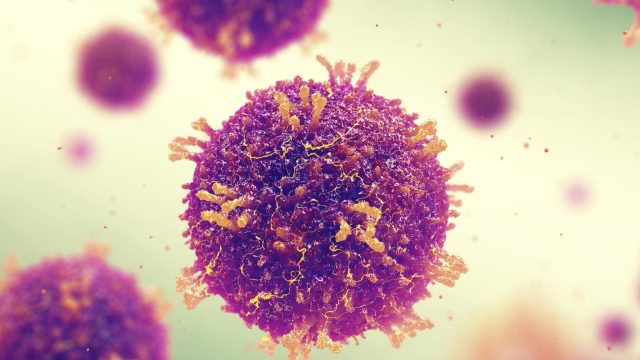 _109477963_f0245467-measles_morbilliviruses_illustration-spl (4)