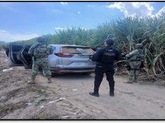 Ejército Mexicano da a conocer aseguramientos logrados en el mes de enero