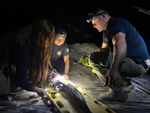 WhatsApp Image 2026-02-05 at 08.27.28