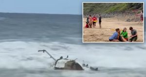 Tres muertos y dos heridos en un accidente de helicóptero turístico en la isla hawaiana de Kauai