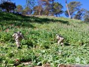 Refuerzan presencia operativa en Nayarit desde la Mesa de Seguridad