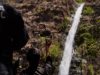 Operativo conjunto permite localización de persona en San Blas