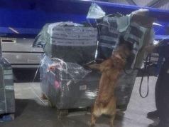 Confiscan casi dos millones de cigarros ilegales en el AICM; venían de China y Corea