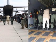 EU presume la detención de 26 miembros de cárteles mexicanos en el primer año de Trump