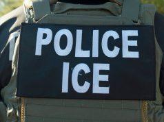 Hallan a 19 migrantes mexicanos ocultos en drenaje fronterizo entre México y California