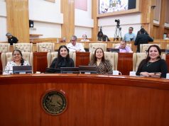 Impulsa Congreso paternidad responsable y acceso de perros guía