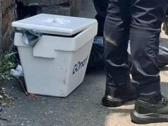 Hallan cabeza humana dentro de hielera en Edomex