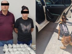 Aseguran 20 kilos de metanfetamina y 25 mil dosis de fentanilo escondidos en un automóvil en Chihuahua