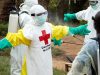 La OMS declara la emergencia sanitaria internacional por el brote de ébola en África central