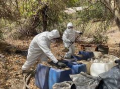 Ejército inhabilita nueve áreas para fabricar drogas sintéticas en Sinaloa