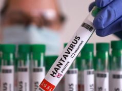 Secretaría de Salud emite aviso epidemiológico por hantavirus