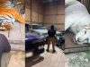 Aseguran tigres de Bengala, un ocelote y un lince durante cateo en Durango