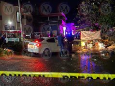 Tragedia en Xalisco: vendedor de elotes muere aplastado por enorme árbol durante tormenta