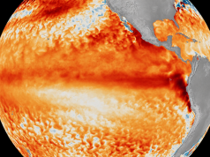 ‘El Niño’ se forma en el Océano Pacífico: ‘Será muy fuerte y durará un periodo prolongado’, alerta EU