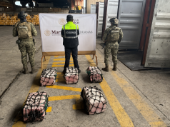 Semar asegura contenedor con 137 kilos de cocaína en aduana de Lázaro Cárdenas, Michoacán