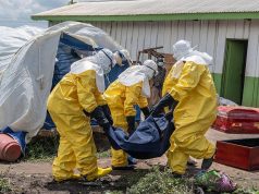 OMS confirma más de 100 muertes por ébola en la República del Congo