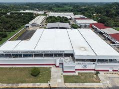 México y EE.UU. inauguran planta de moscas estériles contra el gusano barrenador en Chiapas