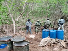 Desmantelan narcolaboratorio en Tamazula, Durango