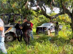 Asesinan de un disparo a hombre en una huerta de mangos en el municipio de Tepic