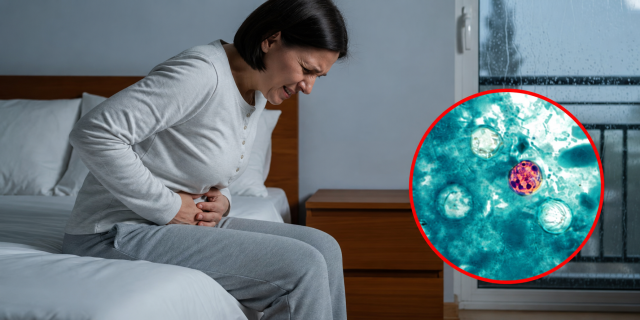 ChatGPT Image 16 jul 2026, 07_11_27 p.m.