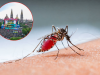 Confirman caso de malaria en Jalisco; paciente llegó al país por el Mundial 2026