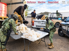 Decomisan 200 kilos de metanfetamina en carretera de Sonora