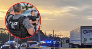 Migrante muere atropellado tras huir de ICE durante operativo en Florida