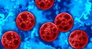 Estados Unidos confirma más de 4.100 casos por el brote de ciclosporiasis