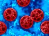 México reporta tres casos de Cyclospora, pero descarta brote de la enfermedad en el país