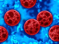México reporta tres casos de Cyclospora, pero descarta brote de la enfermedad en el país