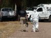 Hallan tres fosas clandestinas en Los Cabos, Baja California Sur