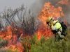 Incendio forestal en el sur de España deja 12 muertos y 23 desaparecidos