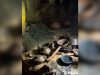 Descubren 179 piezas arqueológicas ocultas durante siglos en una cueva de Chiapas