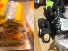 Aseguran 2.5 kilos de semillas de cannabis en aduana de Guadalajara