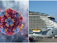 Más de 100 contagiados de norovirus en crucero de EE.UU.