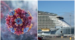 Más de 100 contagiados de norovirus en crucero de EE.UU.