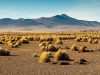 Al menos 73 migrantes han muerto en el desierto de Arizona en lo que va del año