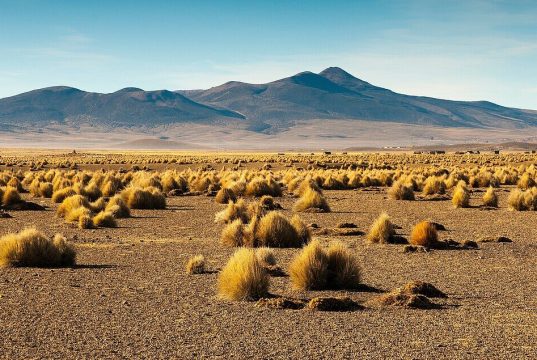 Al menos 73 migrantes han muerto en el desierto de Arizona en lo que va del año