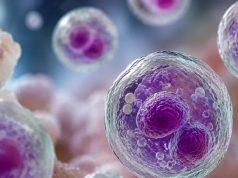 EE.UU. reporta las primeras dos muertes por ciclosporiasis y los casos suman 11,234 confirmados