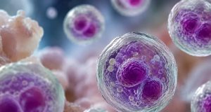EE.UU. reporta las primeras dos muertes por ciclosporiasis y los casos suman 11,234 confirmados